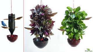 Best Indoor Hanging Plants Ideas to Capitalize on Vertical Space | Hanging Planters//GREEN PLANTS by Green plants 5,601 views 4 months ago 5 minutes, 36 seconds