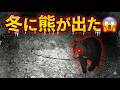 遂に我が家も冬に熊が出た😱