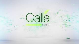 [Phối cảnh 3D] Căn hộ Calla Garden - An Vượng Cát