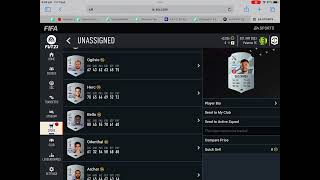 Fifa mystery (special in a silver pack)