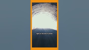 Dying Brain Consciousnes