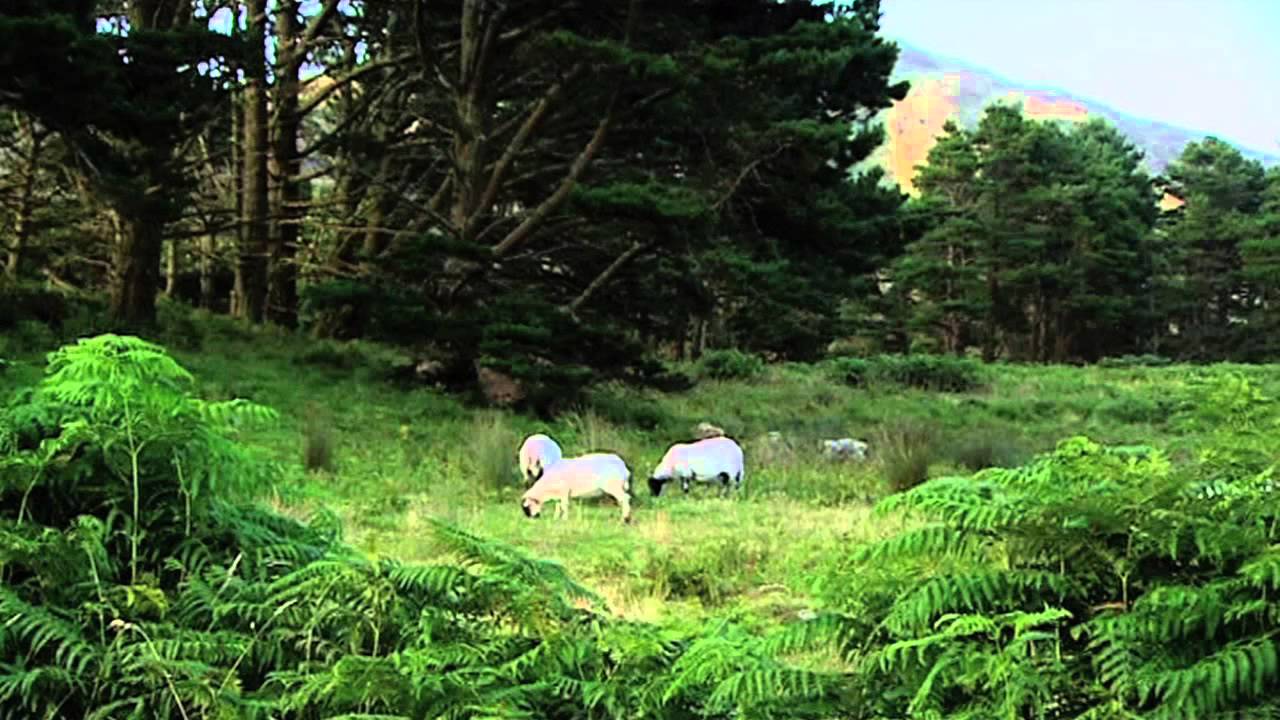 IRELANDS EDEN: Discover Ireland's Hidden Treasures