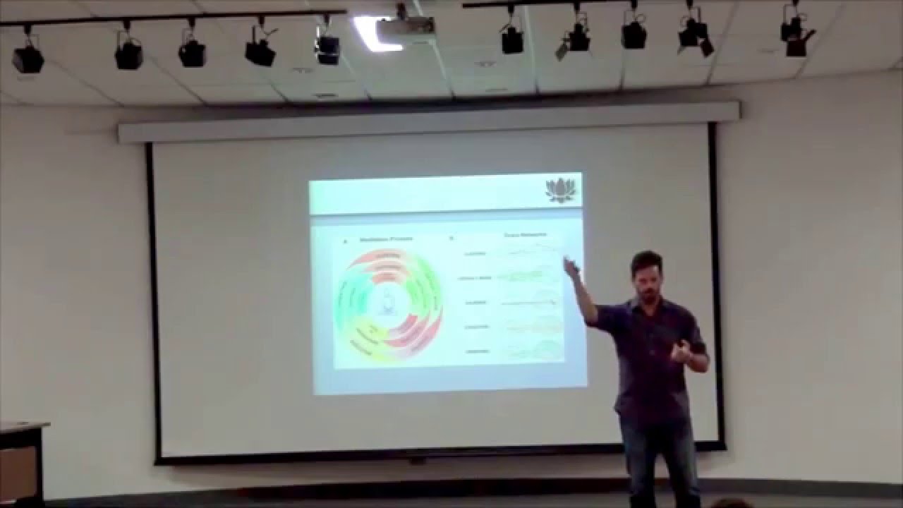 Palestra sobre Mindfulness e Intervenções Terapêuticas