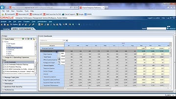 How to view custom formatting on Hyperion Planning forms in the workspace