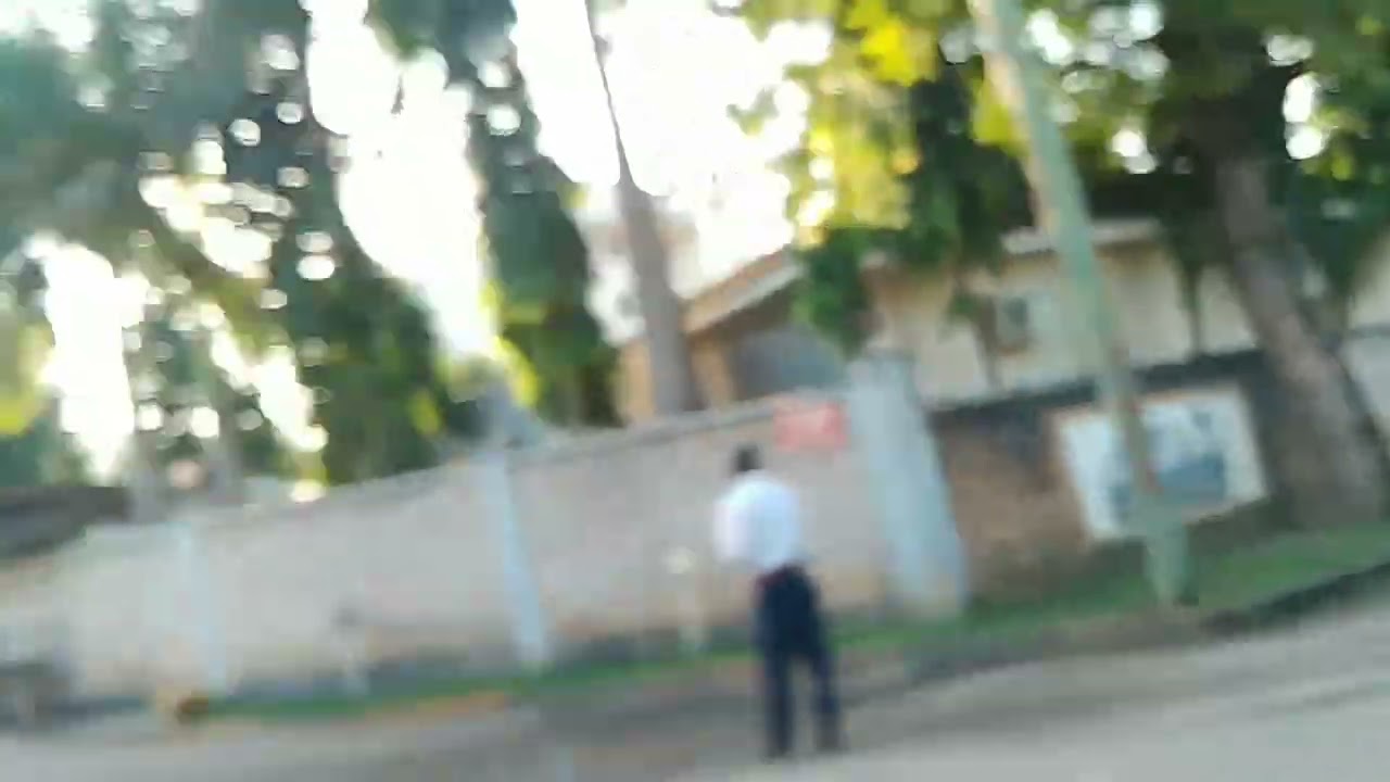 MAWENZI Resort//PEACOCK Resort🥰