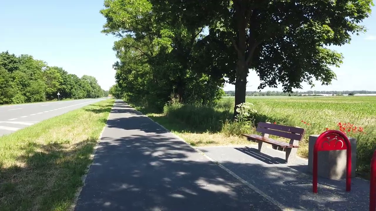 Trasa rowerowa Cigacice-Sulechów-Kalsk 14 - wideo krajobrazu nr 08