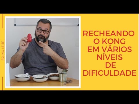 Vídeo: Você pode congelar comida de cachorro em um kong?