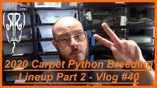 Celebrity 2020 Carpet Python Breeding Lineup Part 2 - Vlog #40 Profile