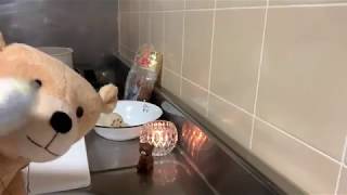 夜のお味噌汁のんびり作るだけ簡単ライブ