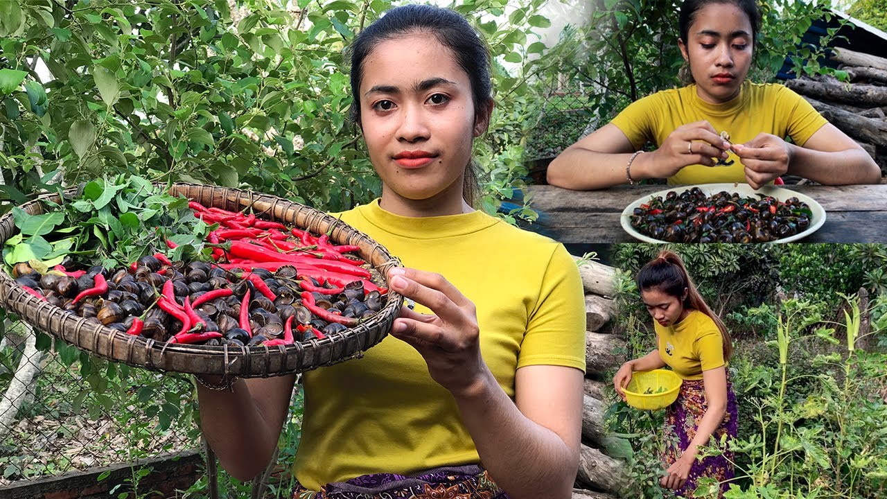 របៀបធ្វើឆាខ្ចងម្រះព្រៅ cooking snail with basil recipe YouTube