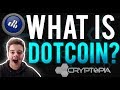 Why Dotcoin is the Most Undervalued Coin in 2018! (Cryptopia's Exchange Coin)