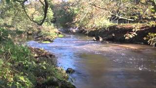 The River Otter Colaton Raleigh to Otterton