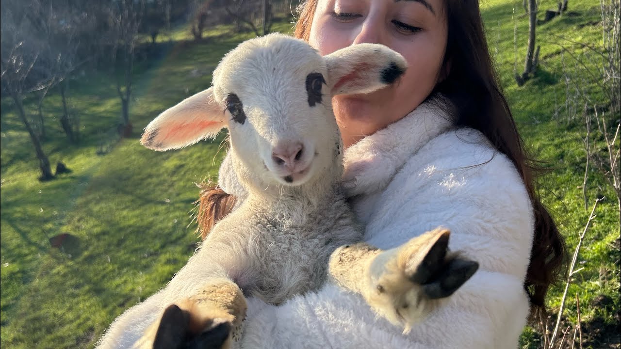 Bulgaristan’da yaşamak