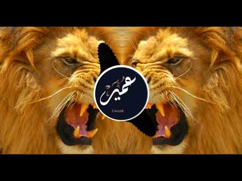 How To Edit The Avee Player Template 30k Views