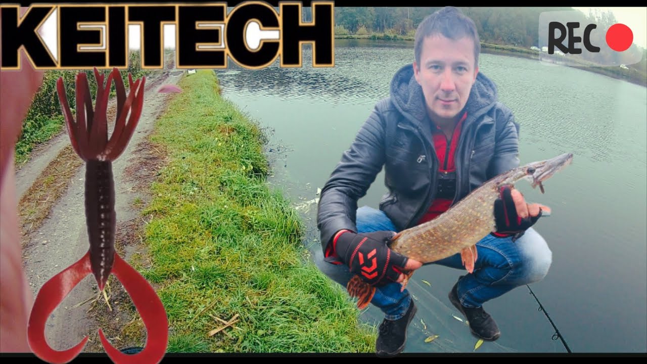 Ловля щуки с берега осень 2023 