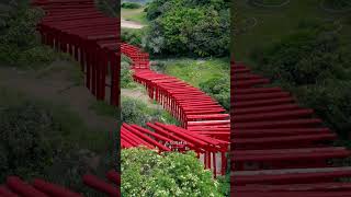📍元乃隅神社【山口】Motonosumi Shrine - Yamaguchi 元乃隅神社は、1955年に建立された神社。海沿いの崖の上にあるため、