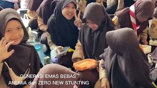Gemaz Generasi Emas Bebas Anemia Dan Zero New Stunting