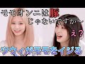 ツウィがモモに炎上必至の一言を発する動画がこれです！！