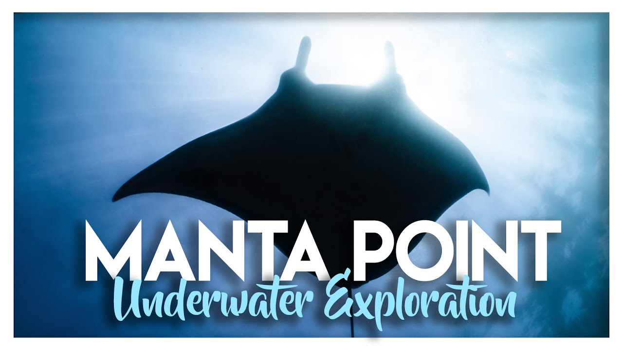 MANTA POINT SCUBA DIVING IN INDONESIA