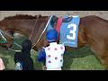 JAMAICA RACING: Delightful One Comes Late To Win Sat, May 16, 2026, 6th