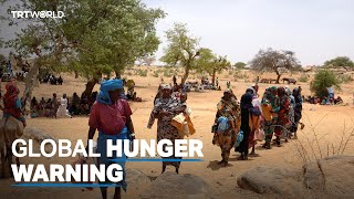 UN: More people hungry than ever