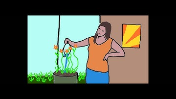 Rotoscope Final Project