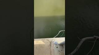 IMG 9745 2