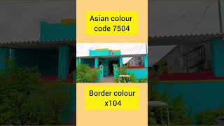 7504 Asian paints colour