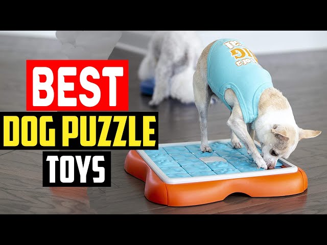 Top tail puzzle toys for dogs