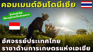 เราต้องดูไทยเป็นตัวอย่าง!! #คอมเมนต์ชาวอินโดนีเซีย เปรียบเทียบการเกษตรระหว่างประเทศไทยและอินโดนีเซีย