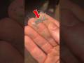 Microscopic Look at Household Dust &ndash; What&rsquo;s Floating Around You