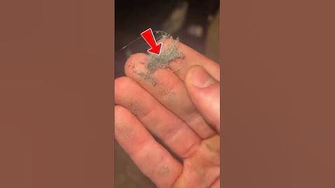 Microscopic Look at Household Dust – What’s Floating Around You