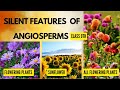 Angiosperms |Characteristic features with examples | Quick revision |#botany #ncert #notes