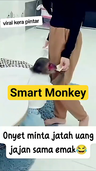 Monyet lucu minta uang ke emak buat beli minuman segar! 🤣 #Viral2025 #MonyetLucu #Shorts