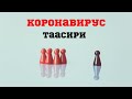 Коронавирус. Карантин. Таасири