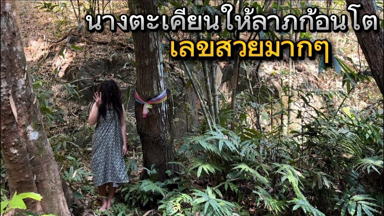 เจอนางตะเคียนป่าชายแดนพม่า นางให้โชคลาภก้อนโตกับผม เลขสวยมากๆ งวดนี้มาแน่ๆ!!