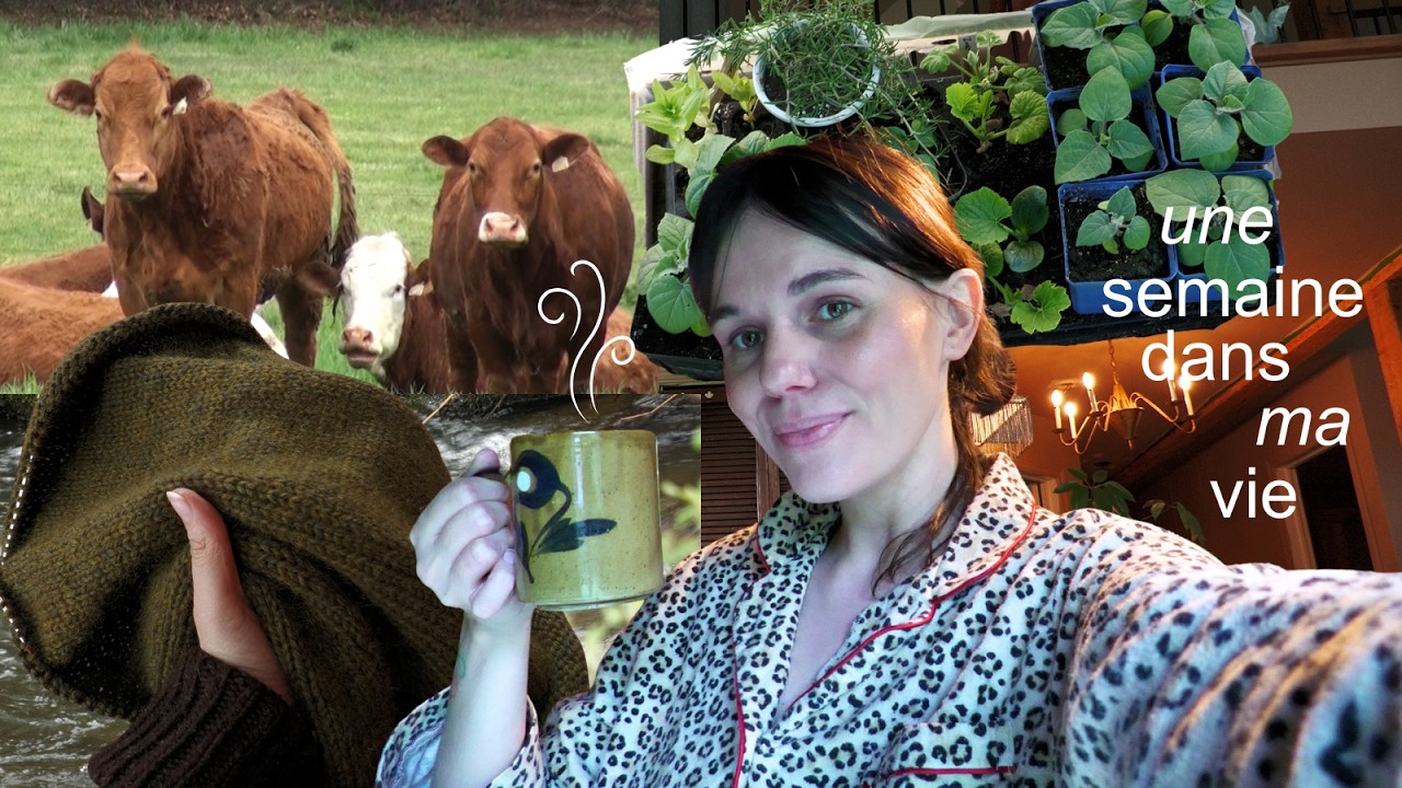 j'ai ENFIN recommencé à TRICOTER | analog cozy vlog | tisanes, printemps & petits animaux