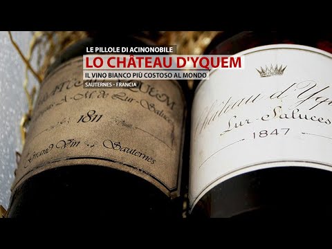 Video: Perché lo chateau d'yquem è così costoso?