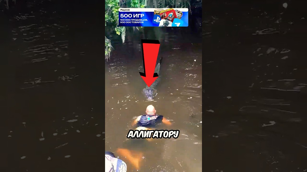 Он прыгнул в воду к аллигатору 😱