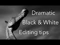 Black and white photo editing tutorial: Tips for Lightroom and Photoshop!