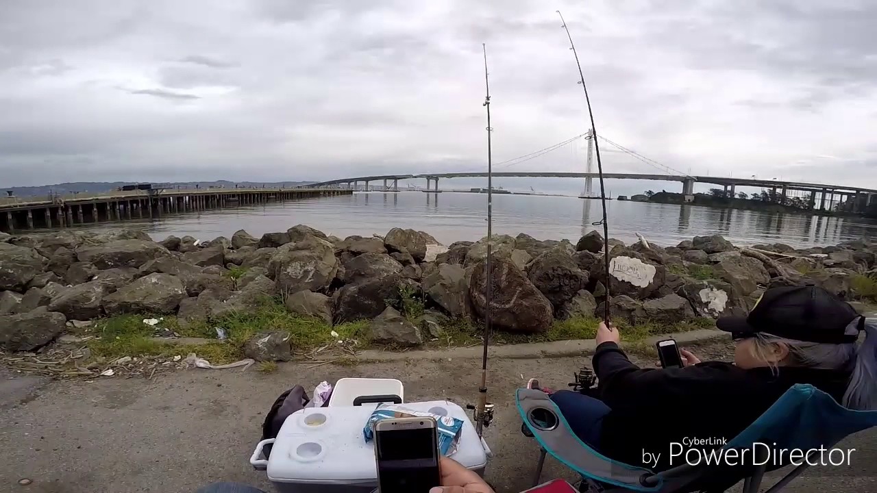 Treasure island fishing YouTube