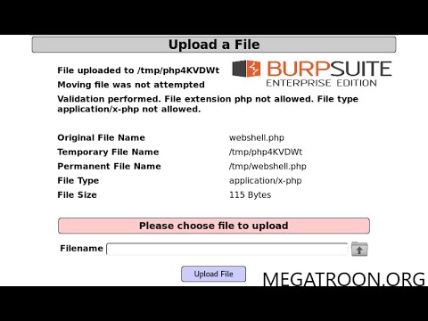 Bypass File Upload