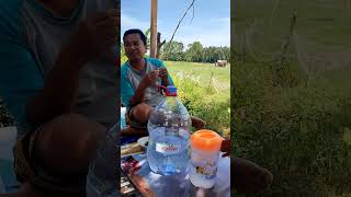 Download Lagu Tena Ruanna MP3