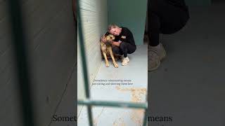 Sometimes the most meaningful part of volunteering is simply being there 🤍#adoptdontshop #rescuedog