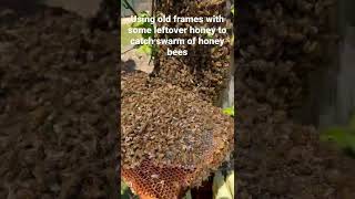 #farm #bee #beekeeping #farmer #bees #farming #spring #friends #work #hardwork screenshot 4