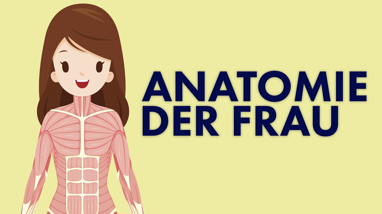 Die ANATOMIE der Frau | HEISSKALT INFORMIERT