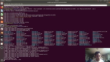 Mine Raven Coin at Mining Pool Hub on Ubuntu 18.04 LTS Nvidia through Tor
