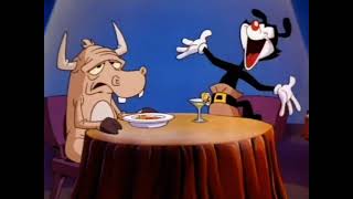 Animaniacs  Intro polish