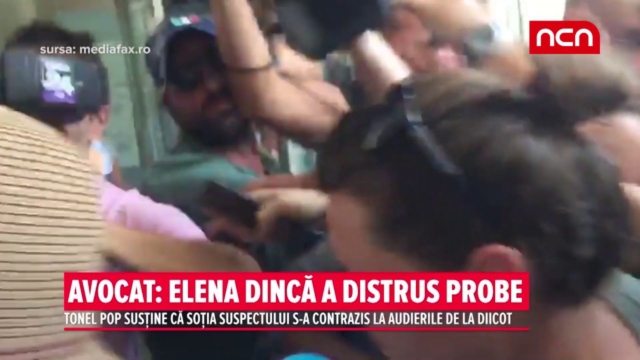 AVOCAT: ELENA DINCA A DISTRUS PROBE financial analysis
