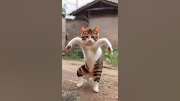 Tauba tauba 🤭 Husan Tera Tauba tauba #music #song #trending #newvideo